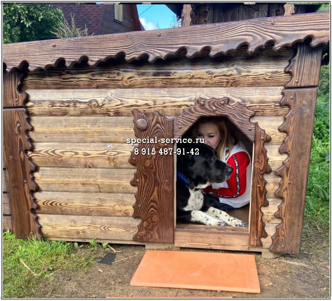   ,     .    .